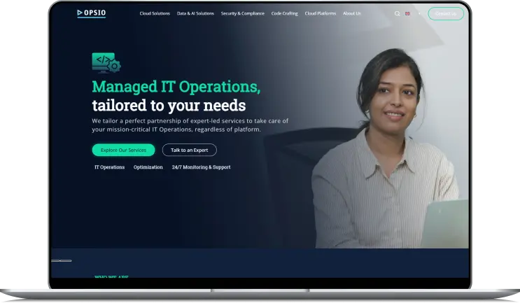 Opsio Inspection System